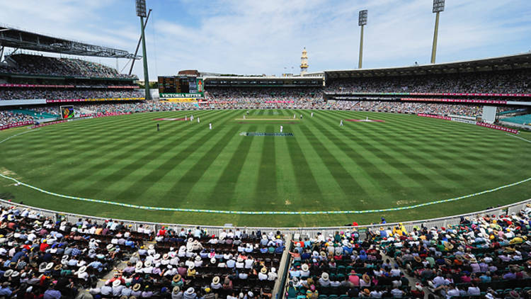 Sydney Cricket Ground Pitch Report In Hindi
